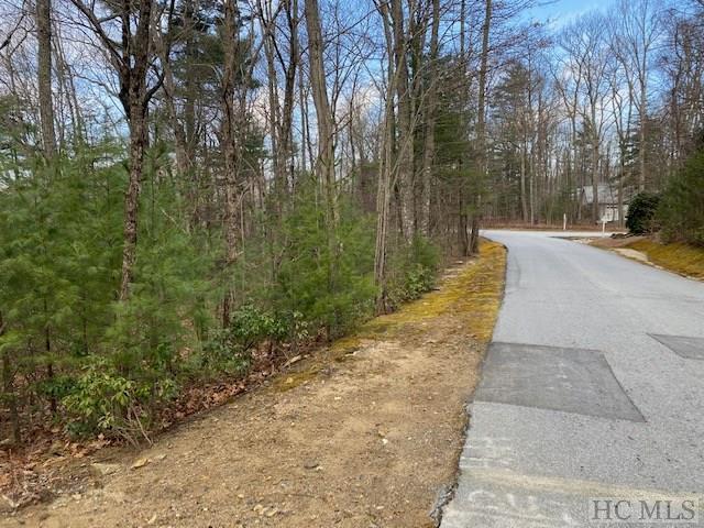 Lot 20 East Ridge Road Cashiers, NC 28717 - Photo 3 of 7 Gallery Image 3