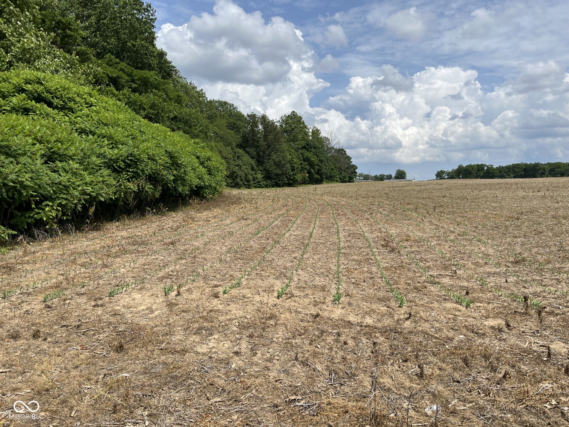 900 West Block Co Rd 50 S Brownstown, IN 47220 - Photo 2 of 8