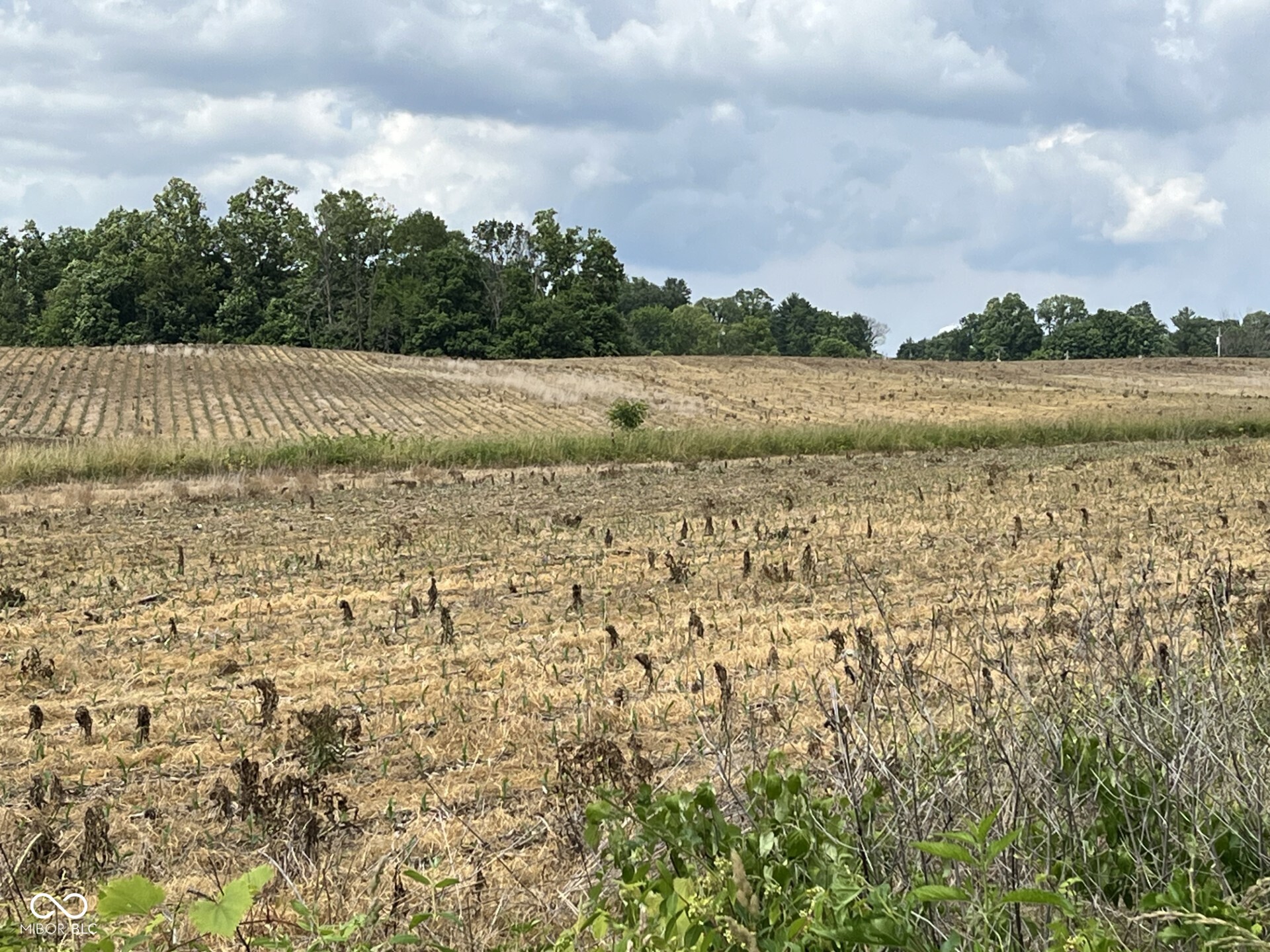 900 West Block Co Rd 50 S Brownstown, IN 47220 - Photo 3 of 8