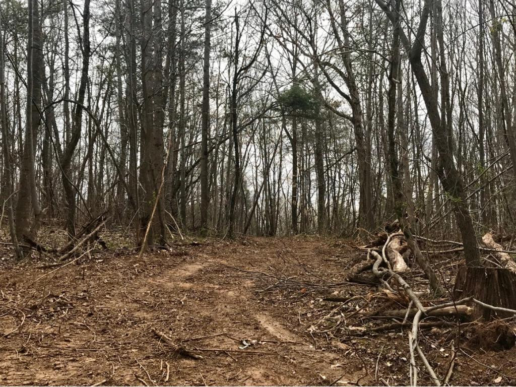 Tbd Conklin Road Jonesborough, TN 37659 - Photo 1 of 9 Photo 1