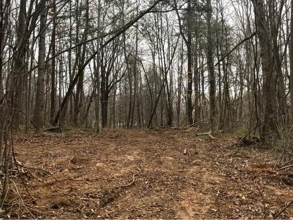 Tbd Conklin Road Jonesborough, TN 37659 - Photo 3 of 9 Photo 3