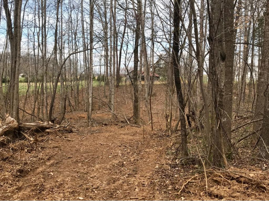 Tbd Conklin Road Jonesborough, TN 37659 - Photo 4 of 9 Photo 4