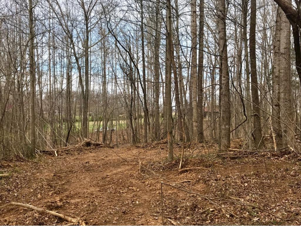 Tbd Conklin Road Jonesborough, TN 37659 - Photo 7 of 9 Photo 7