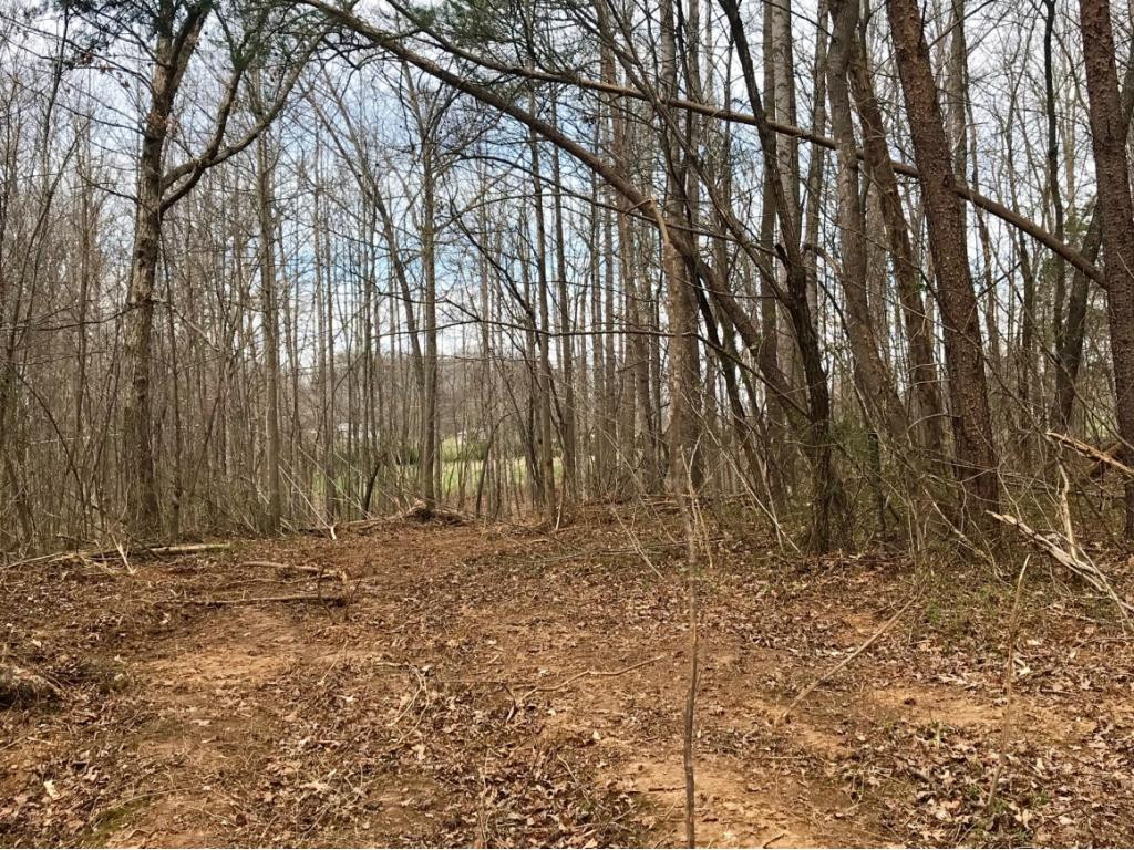 Tbd Conklin Road Jonesborough, TN 37659 - Photo 8 of 9 Photo 8