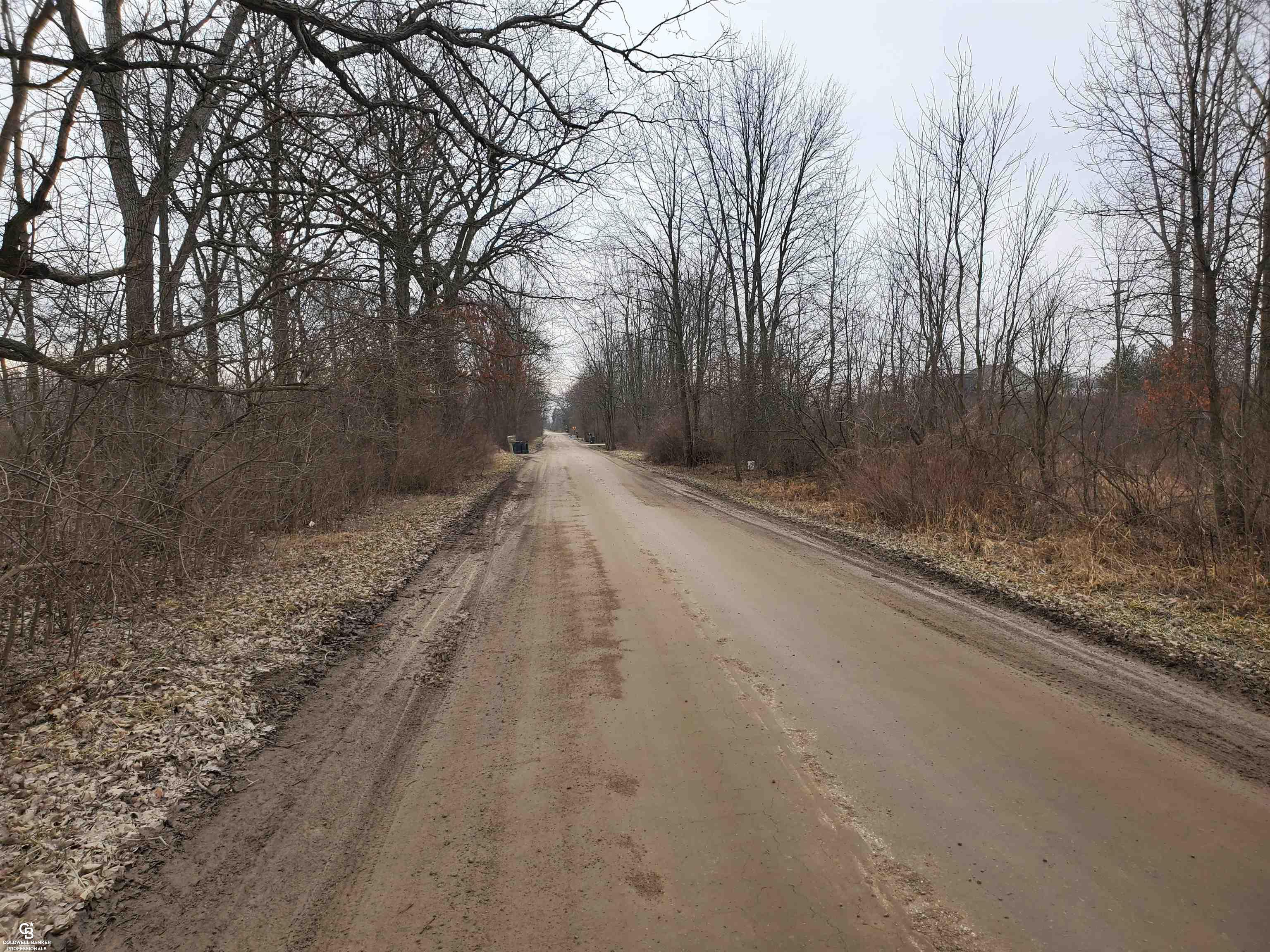 Reeves Vl Road Memphis, MI 48041 - Photo 16 of 20