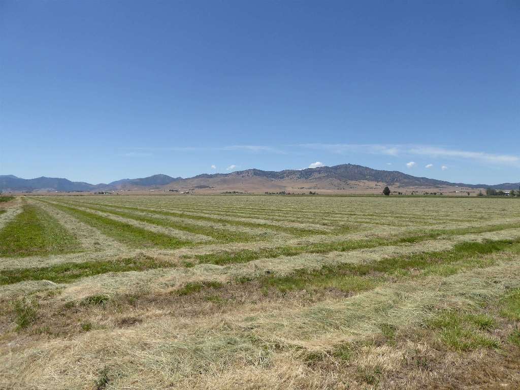 0 Swigart Road Montague, CA 96064 - Photo 1 of 15 Gallery Image 1