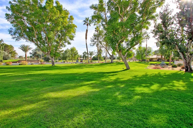 a view of a park with large trees