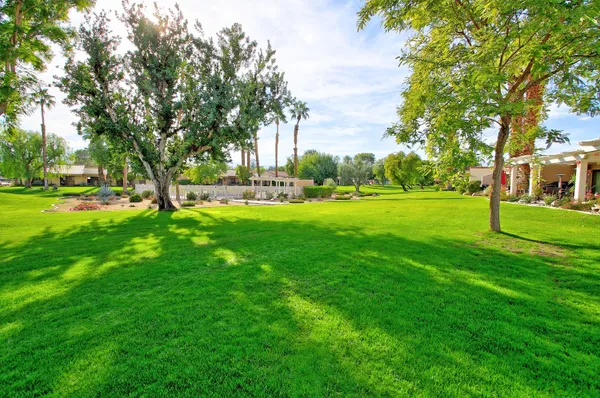 a view of a park with large trees