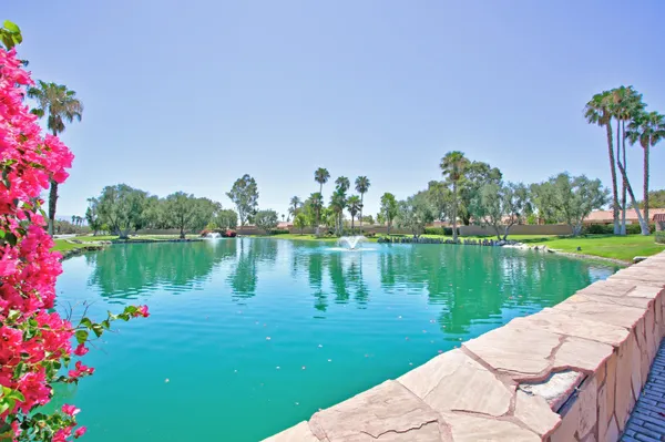 a view of a lake with a garden and plants