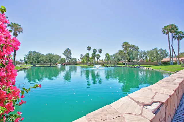 a view of a lake with a garden and plants