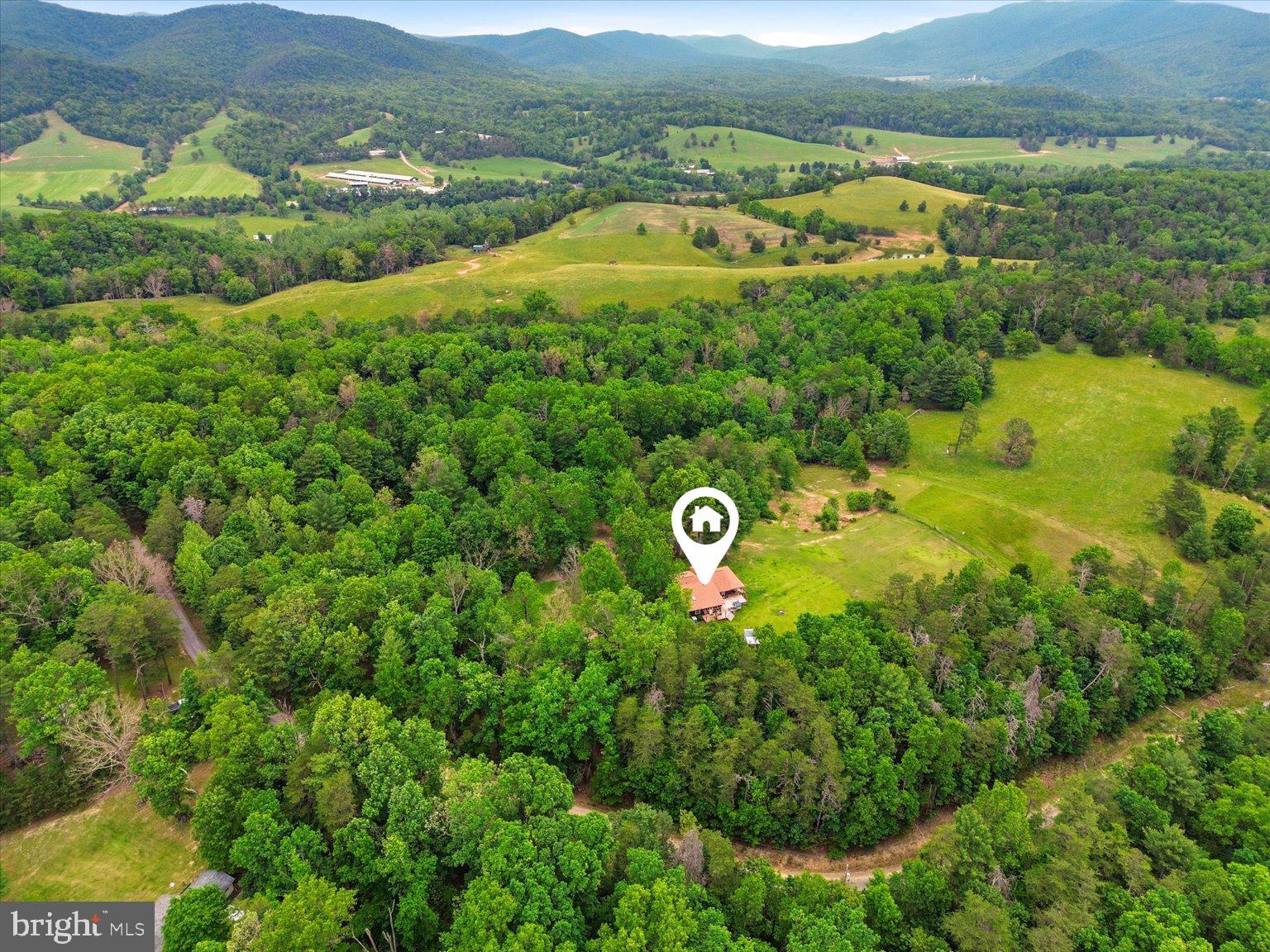 14636 Turner Road Fulks Run, VA 22830 - Photo 79 of 87 Serene retreat in lush greenery.