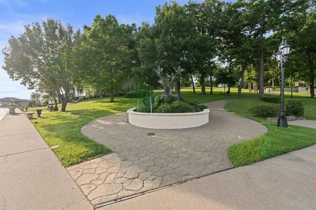 a view of a park with tree s