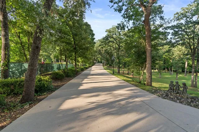 a garden view with large trees