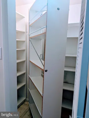 a view of walk in closet with empty racks