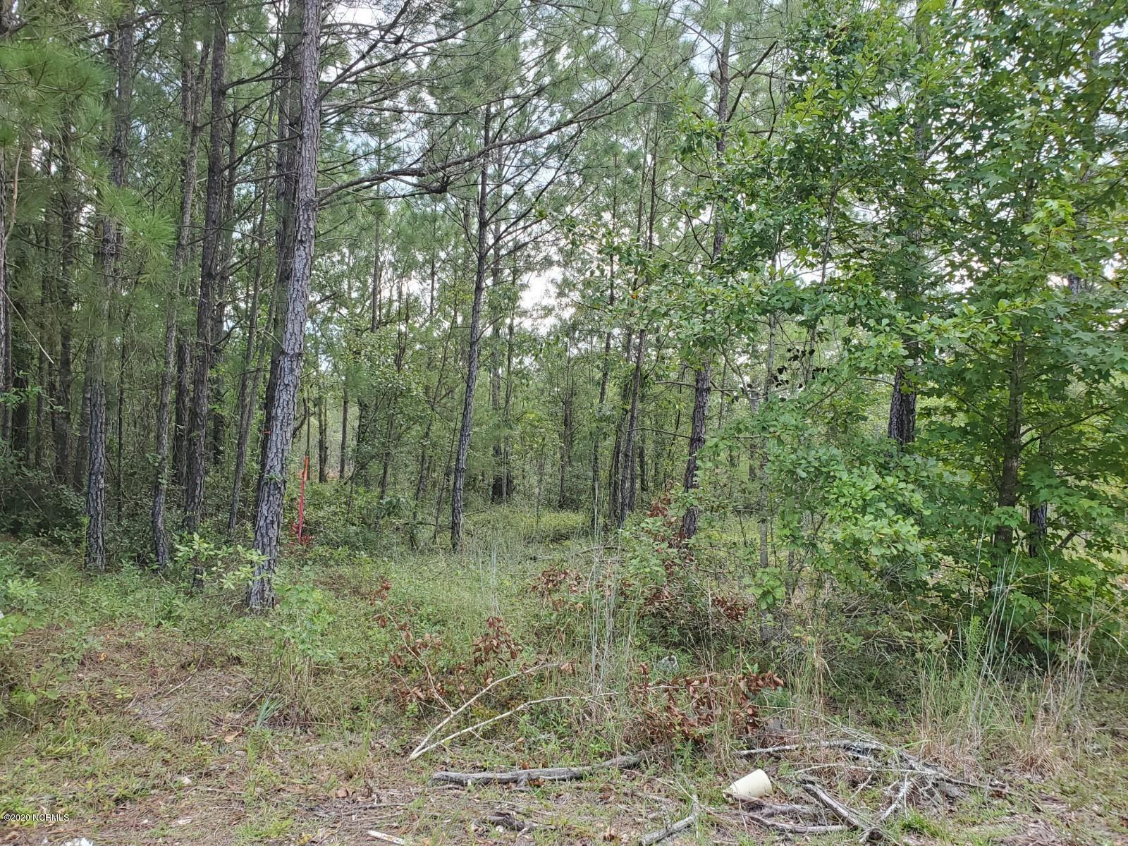 5-ac Maco Road Northeast Leland, NC 28451 - Photo 3 of 6 20200812_165111