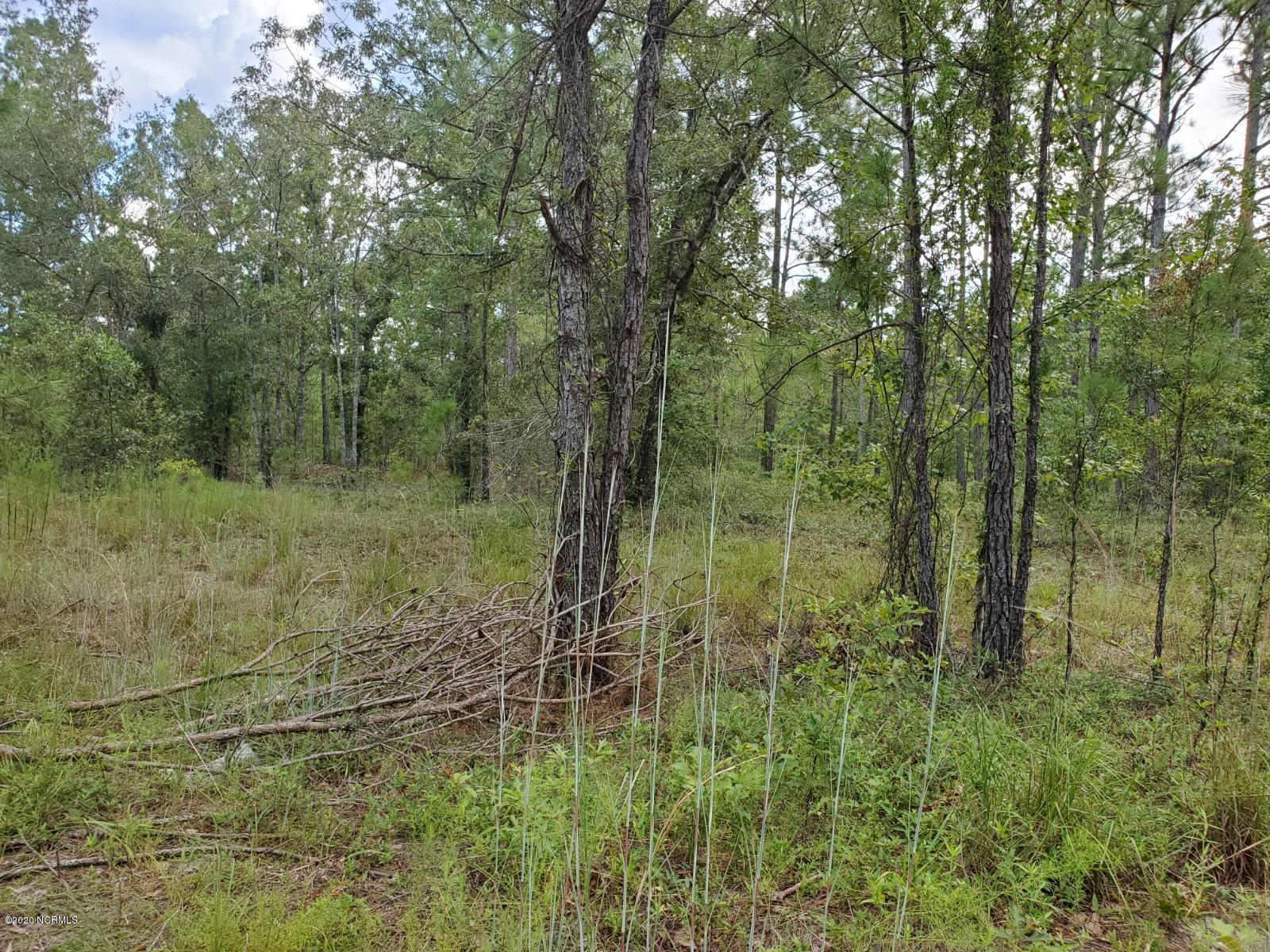 5-ac Maco Road Northeast Leland, NC 28451 - Photo 4 of 6 20200812_165206