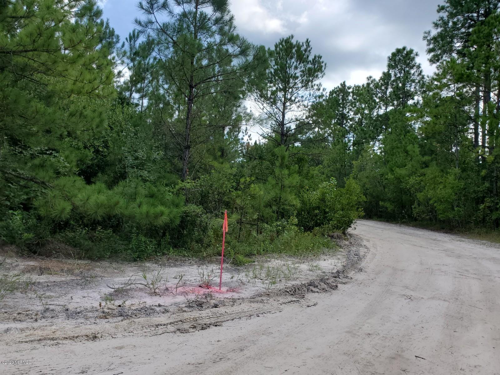 5-ac Maco Road Northeast Leland, NC 28451 - Photo 5 of 6 20200812_165239