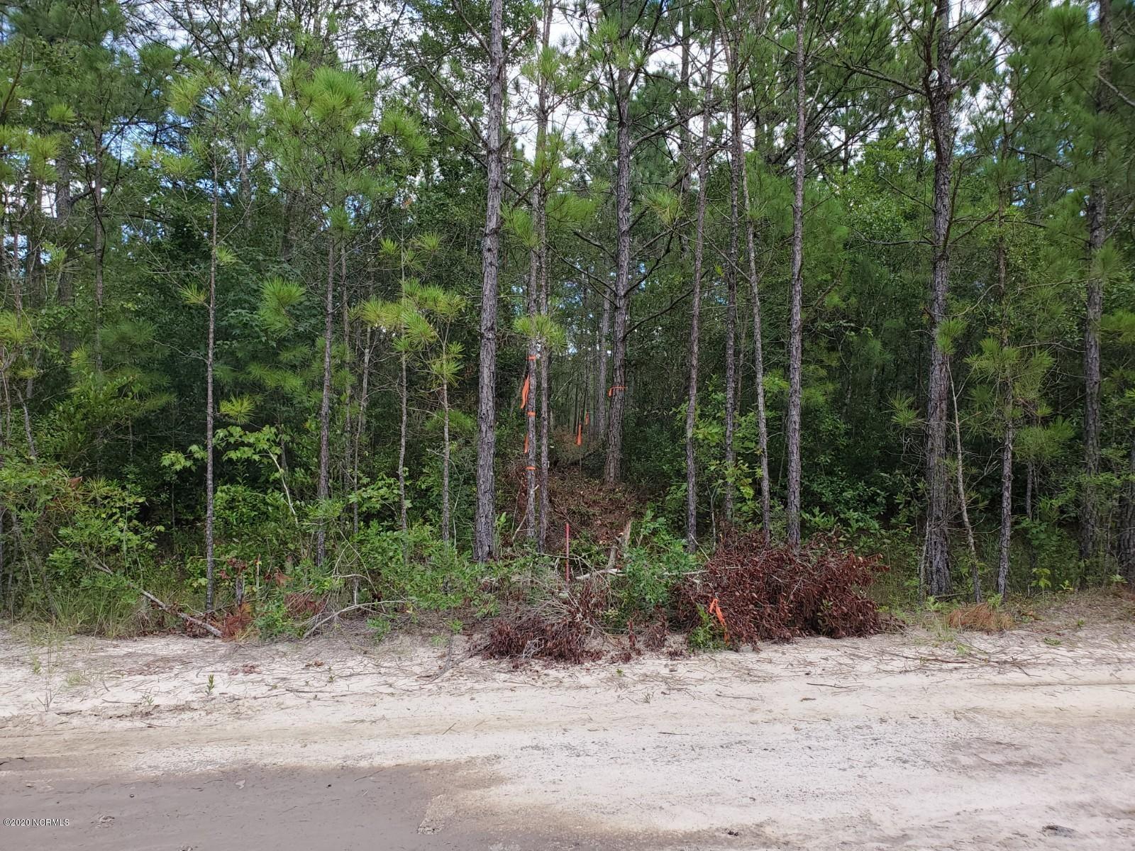 5-ac Maco Road Northeast Leland, NC 28451 - Photo 6 of 6 20200812_165351 (1)