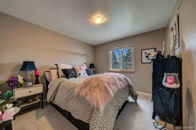 $3,000 | 445 Larkspur Drive, Castle Rock, CO 80104