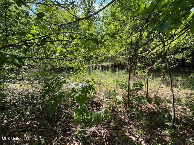 13326 Whit Road Byhalia, MS 38611 - Photo 3 of 5 3