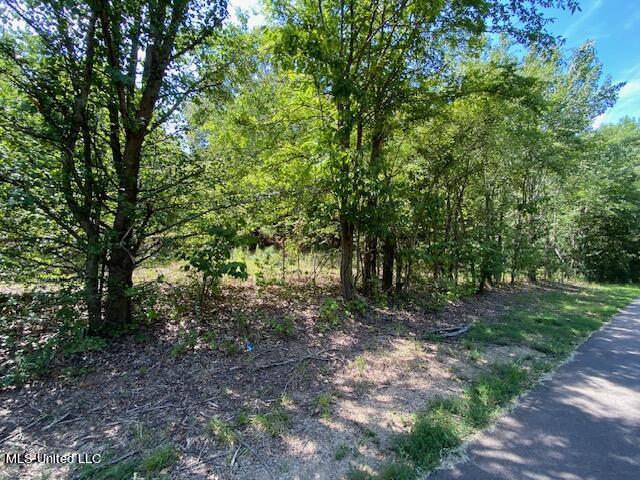 13326 Whit Road Byhalia, MS 38611 - Photo 5 of 5 5