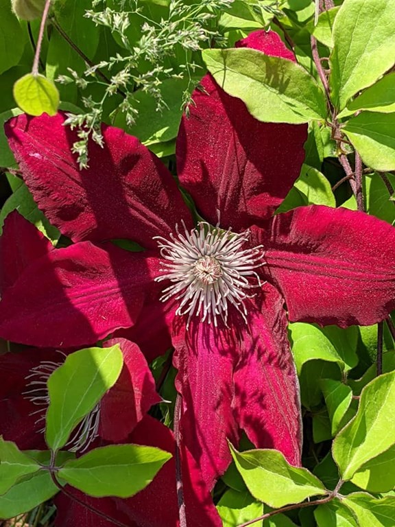 31 MacArthur Road Natick, MA 01760 - Photo 33 of 34