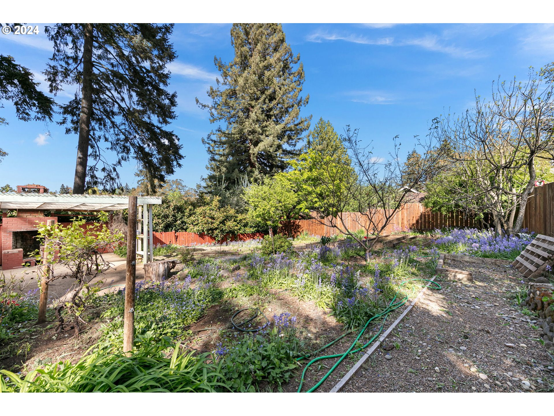 2919 Jefferson Street Eugene, OR 97405 - Photo 35 of 38 a view of outdoor space and yard