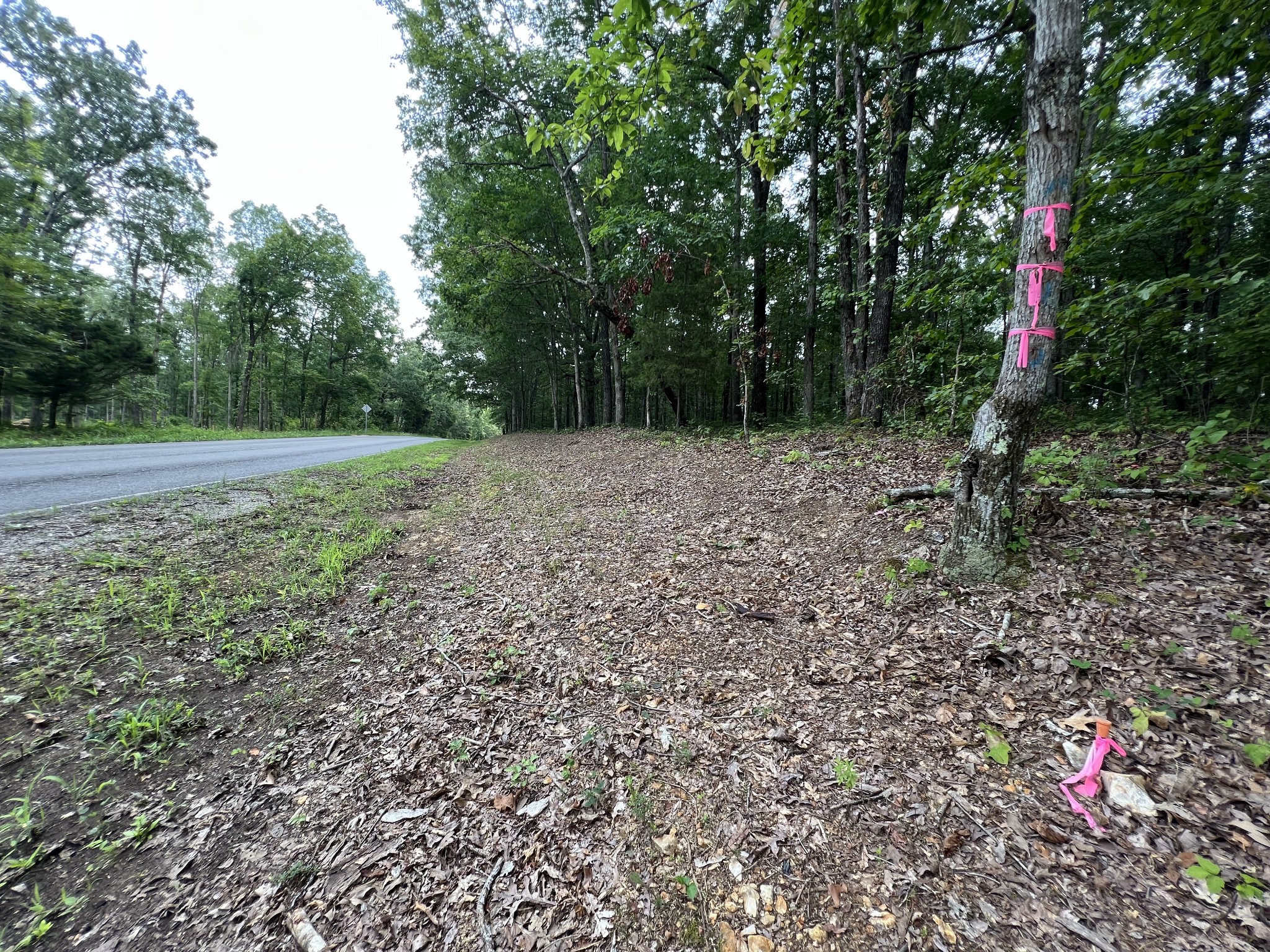 0 Dodd Hollow Road Nunnelly, TN 37137 - Photo 12 of 27 Gallery Image 12