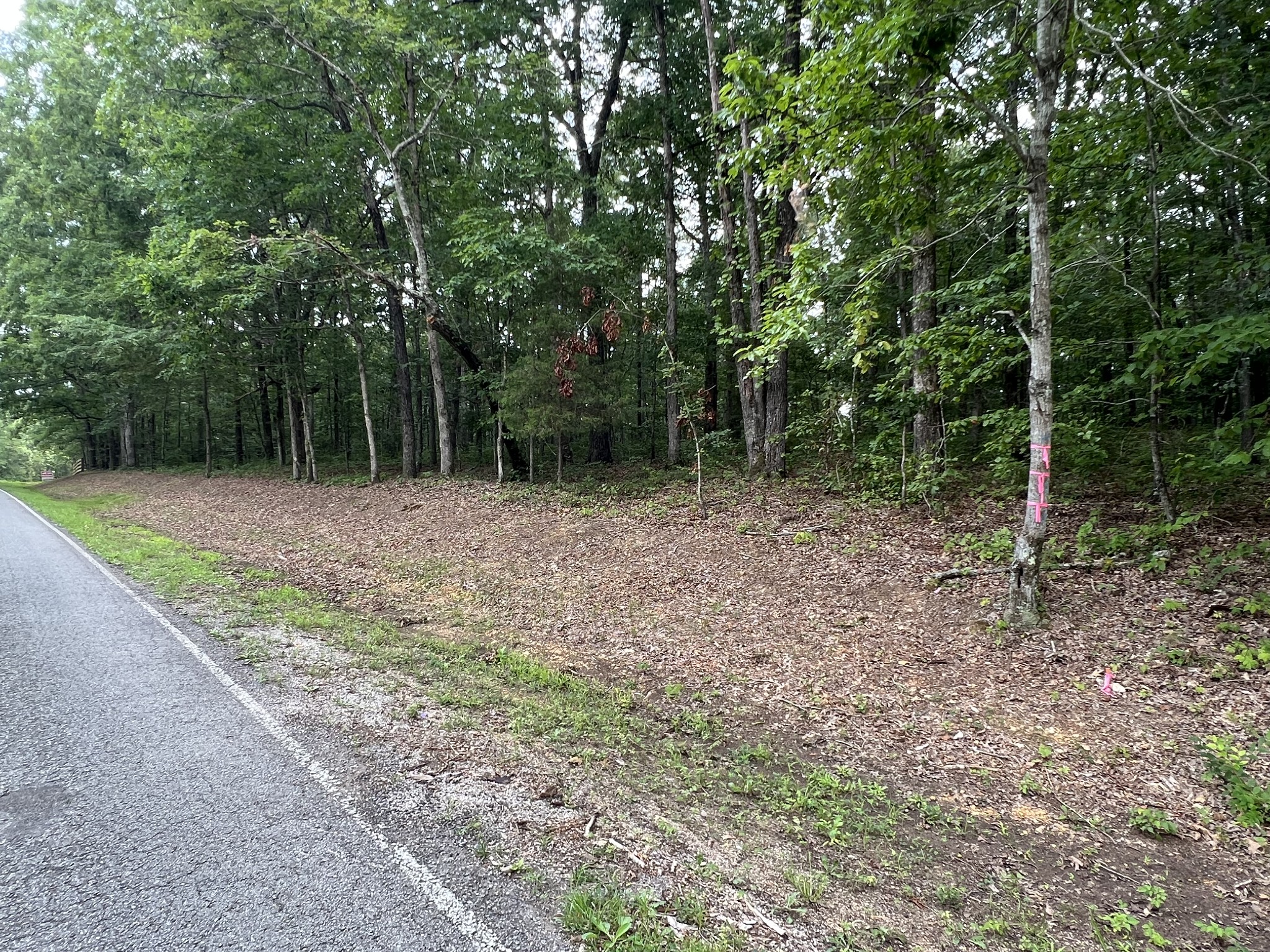 0 Dodd Hollow Road Nunnelly, TN 37137 - Photo 17 of 27 Gallery Image 17