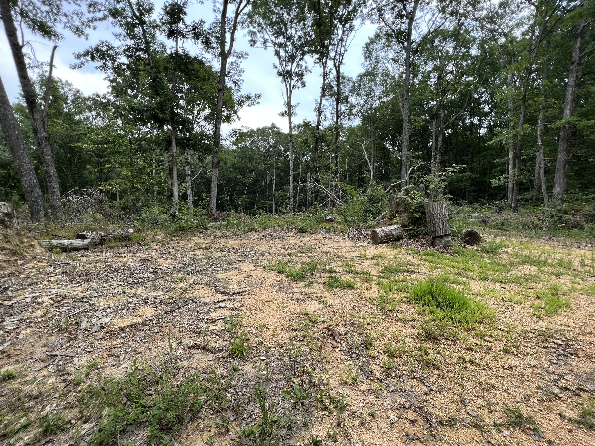 0 Dodd Hollow Road Nunnelly, TN 37137 - Photo 20 of 27 Gallery Image 20