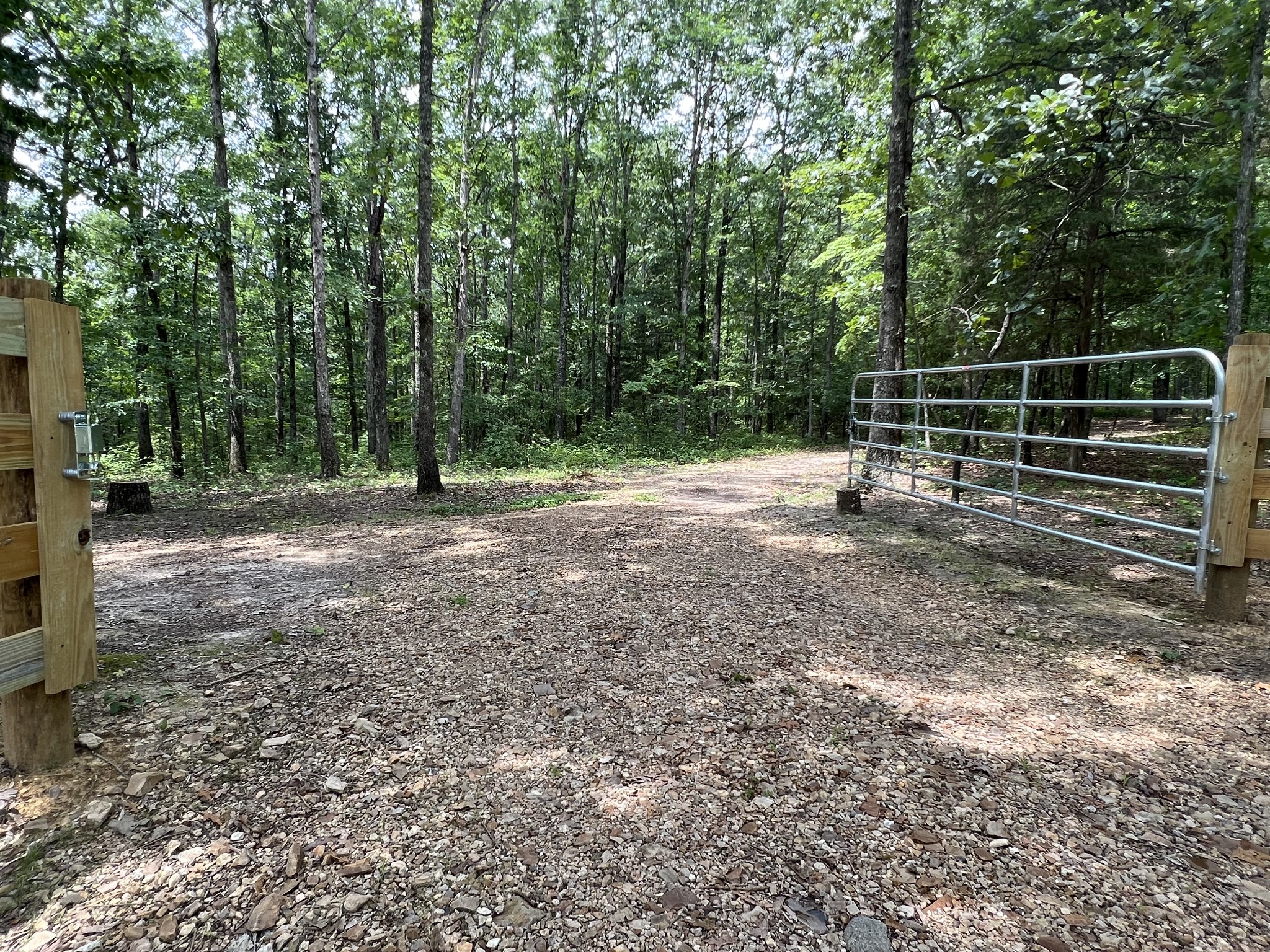 0 Dodd Hollow Road Nunnelly, TN 37137 - Photo 3 of 27 Gallery Image 3