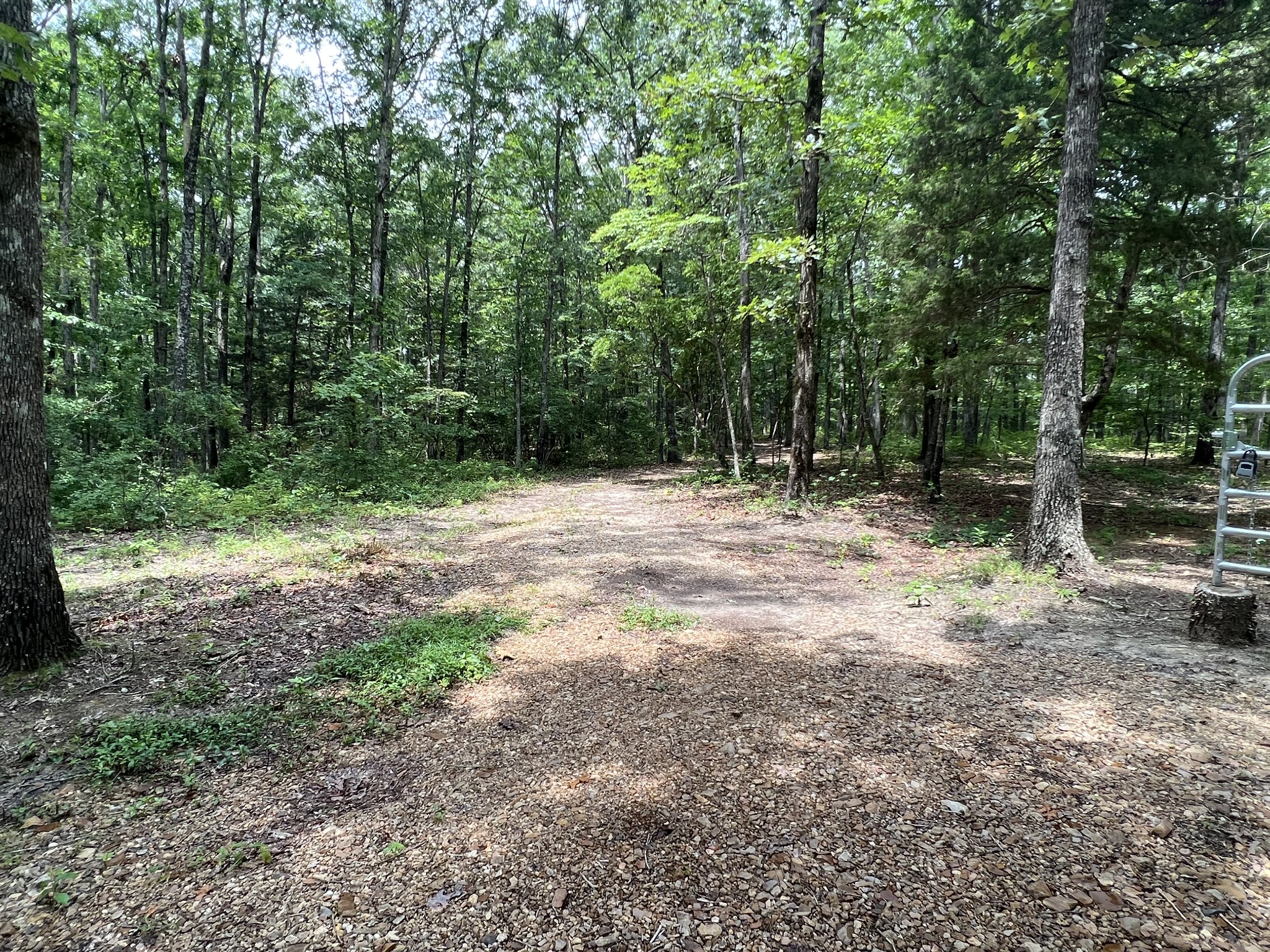 0 Dodd Hollow Road Nunnelly, TN 37137 - Photo 4 of 27 Gallery Image 4