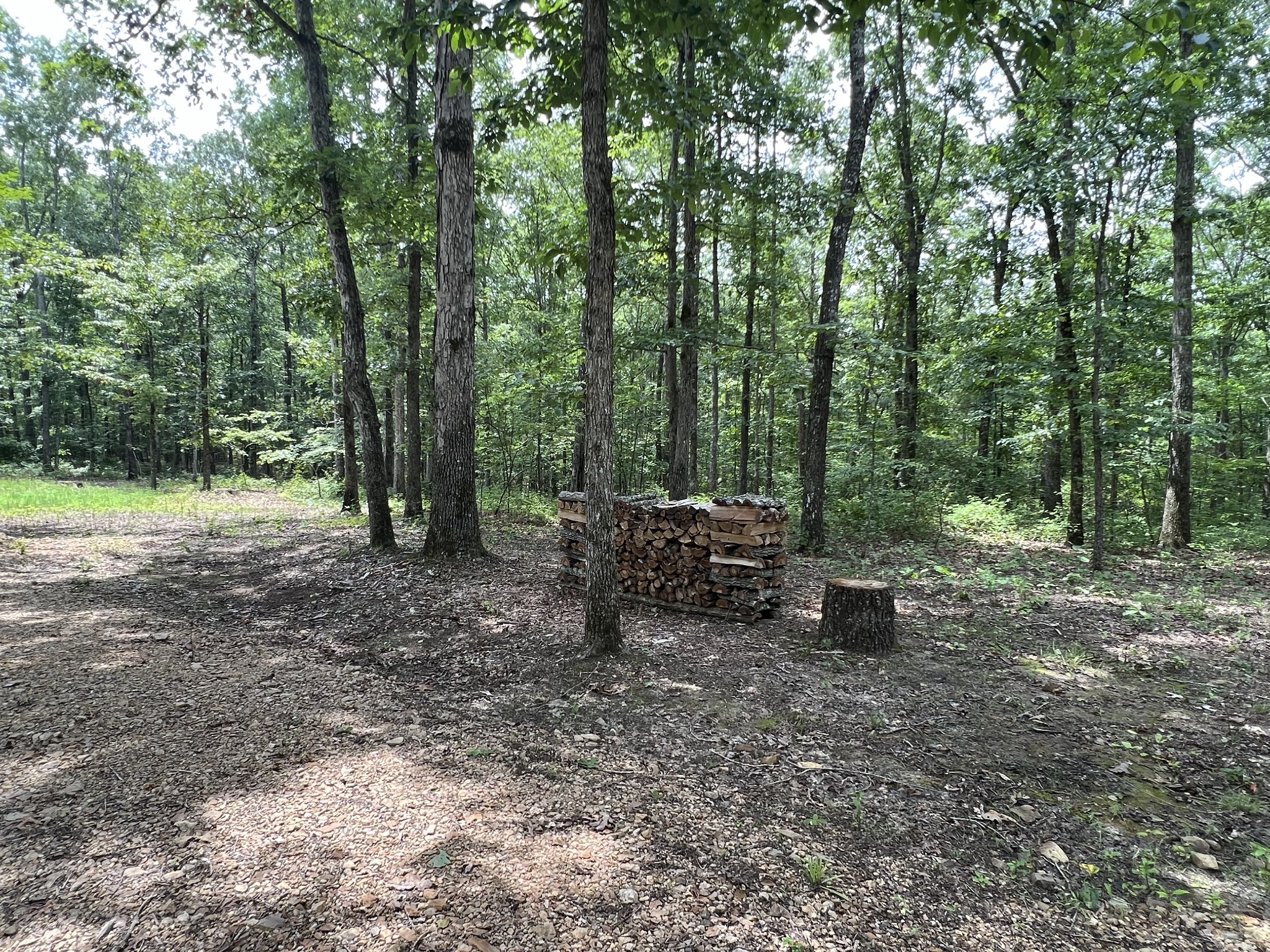 0 Dodd Hollow Road Nunnelly, TN 37137 - Photo 6 of 27 Gallery Image 6