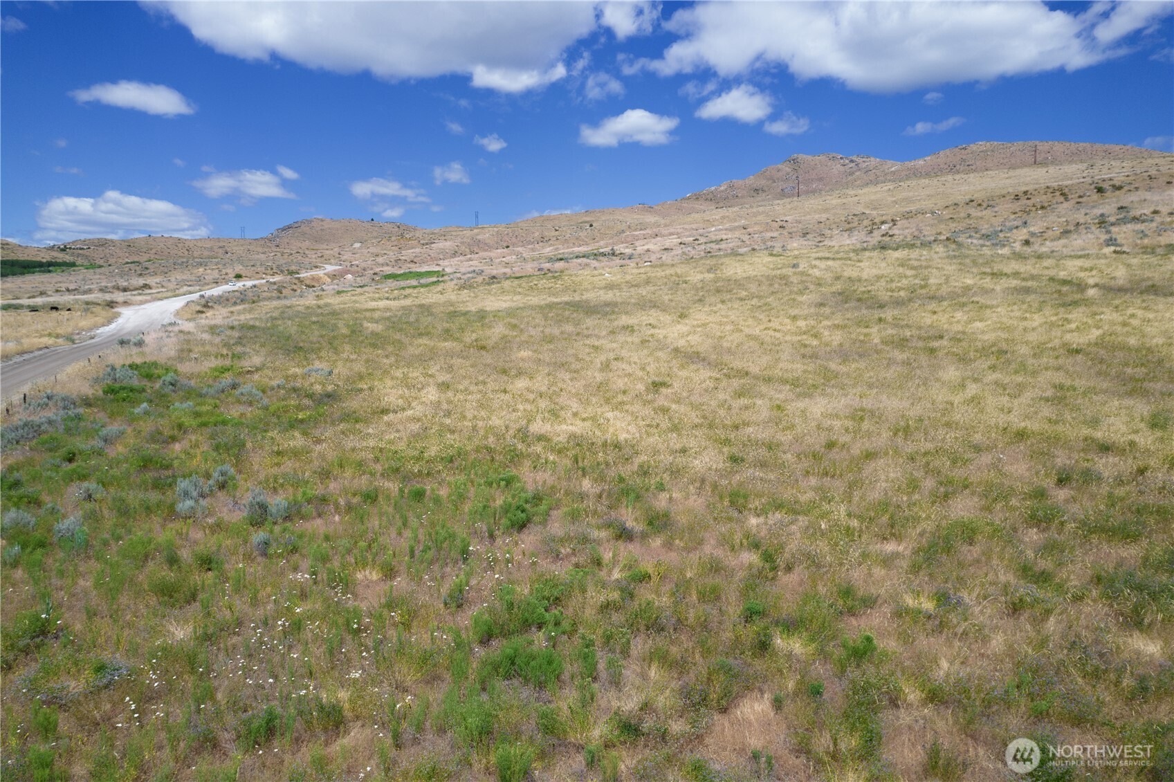 0 Bill Shaw Road Pateros, WA 98846 - Photo 4 of 32 a view of a yard with a mountain