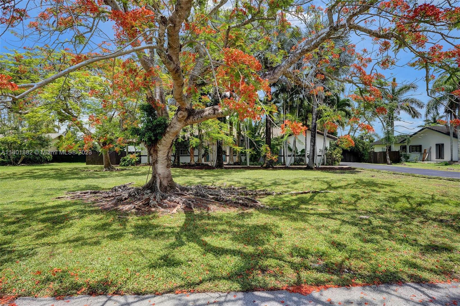 15971 Southwest 252nd Street Homestead, FL 33031 - Photo 8 of 92