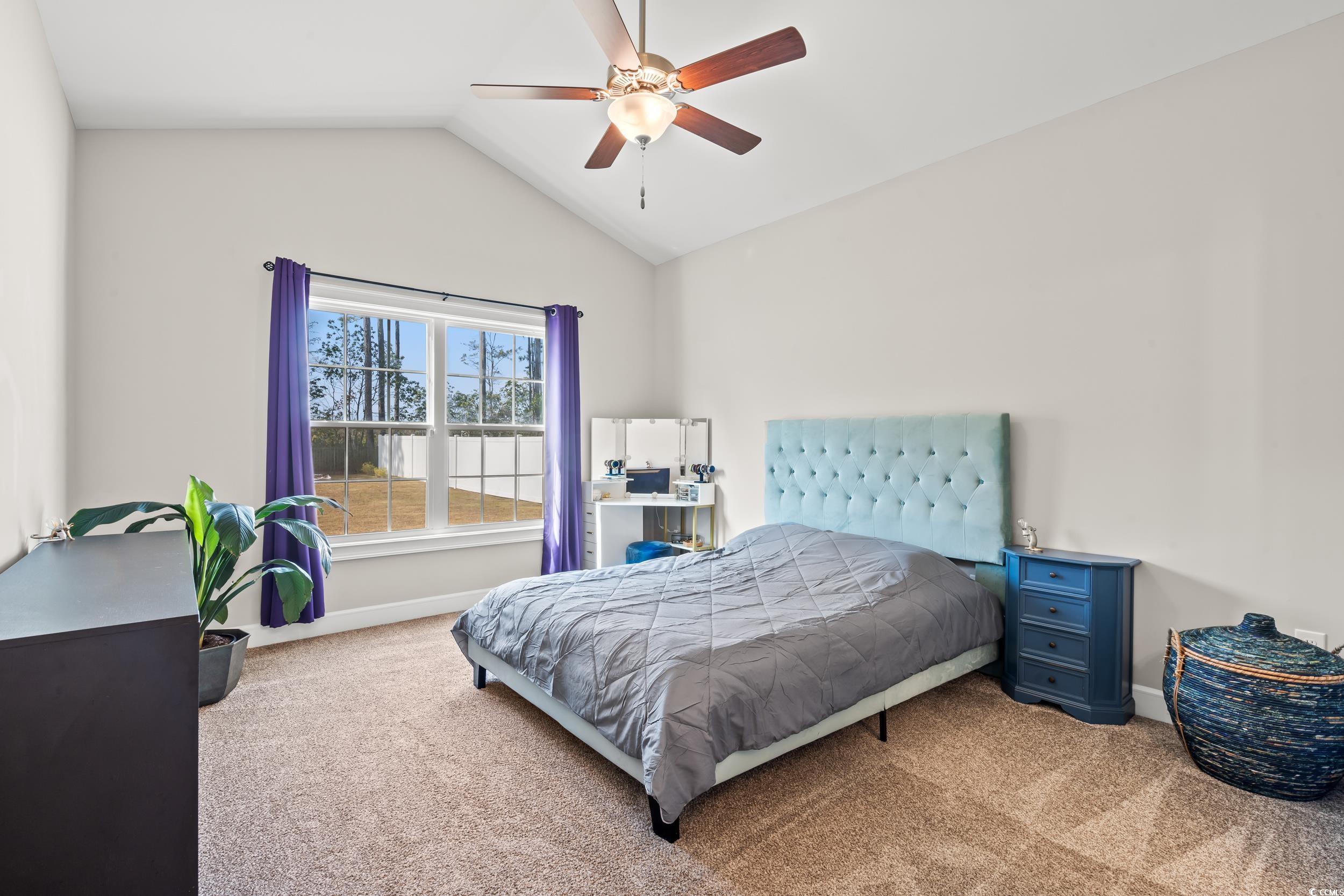 237 Perrin Road Loris, SC 29569 - Photo 13 of 40