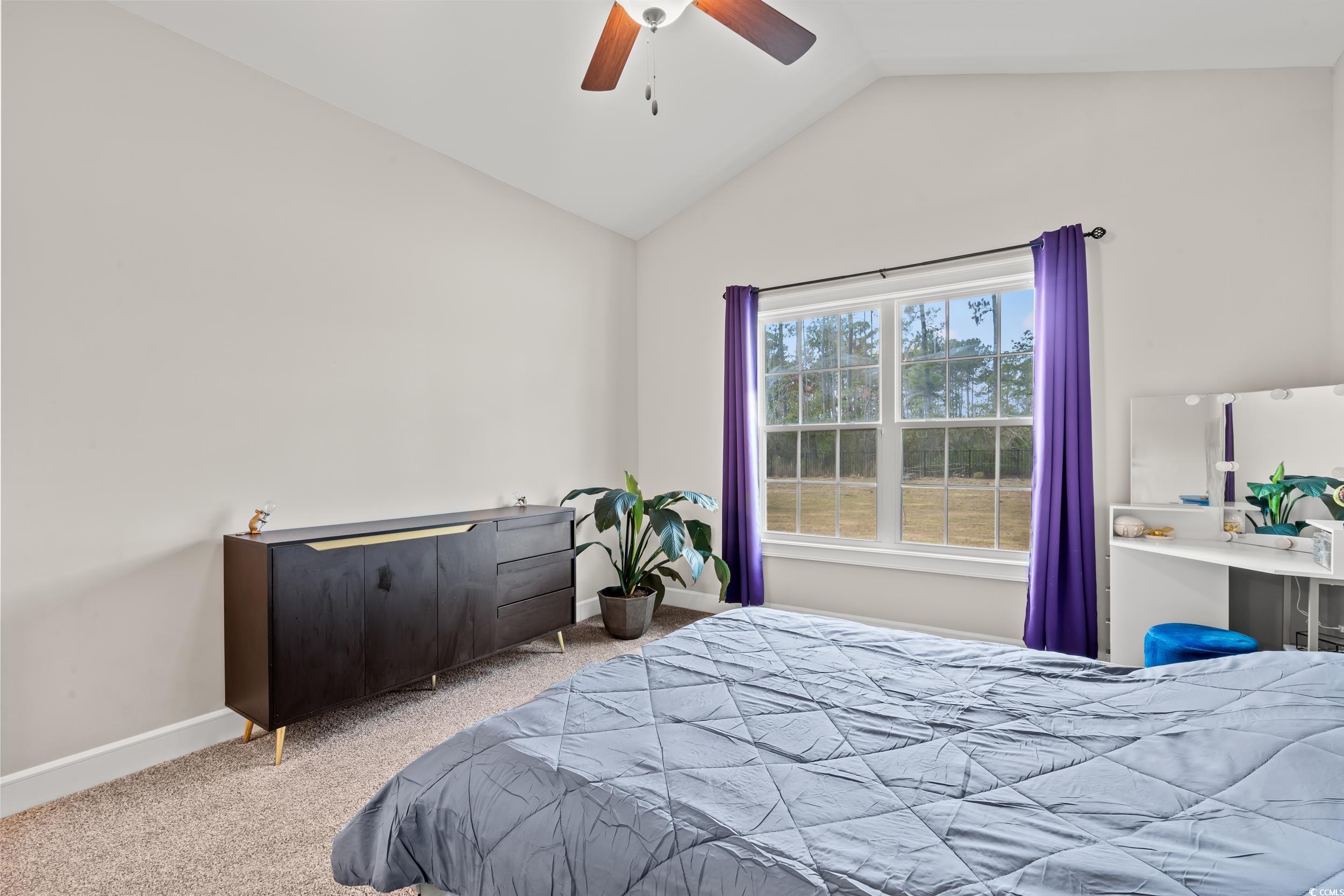 237 Perrin Road Loris, SC 29569 - Photo 16 of 40