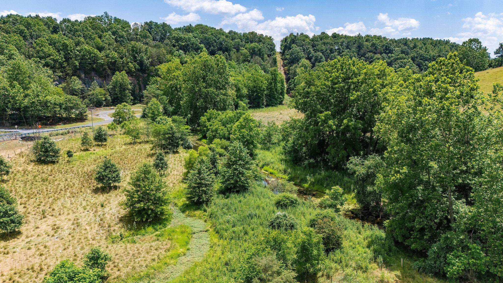 1748 Moffett Branch Road Churchville, VA 24421 - Photo 12 of 53 a view of a lake with a park