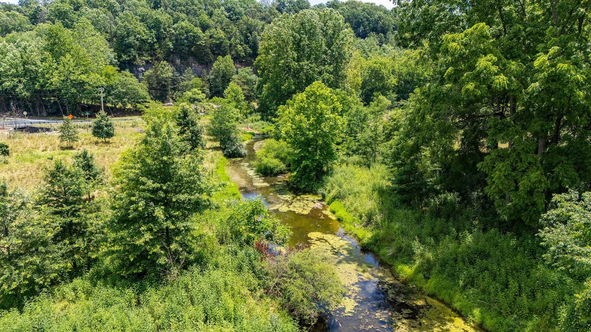 1748 Moffett Branch Road Churchville, VA 24421 - Photo 13 of 53 a view of a forest with a houses