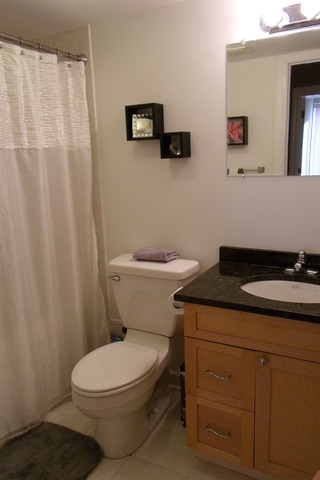 1 Renaissance Place, Unit 1106 Palatine, IL 60067 - Photo 9 of 15 a bathroom with a toilet a sink and mirror