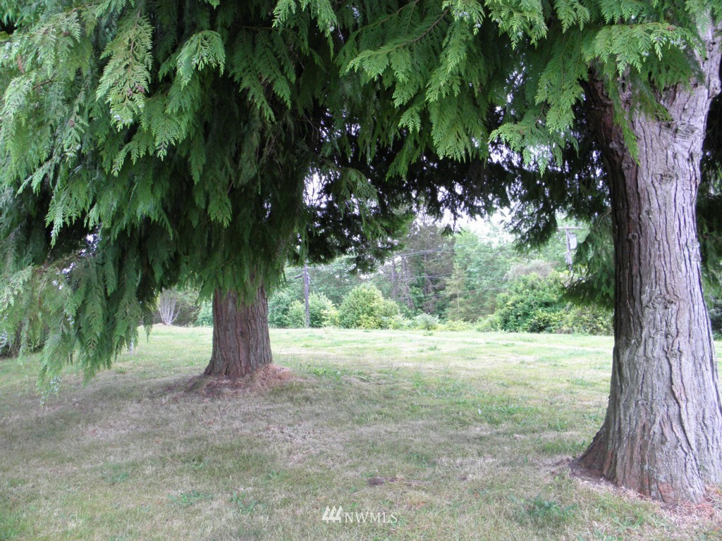 920 Granada Road Aberdeen, WA 98520 - Photo 2 of 16 Gallery Image 2