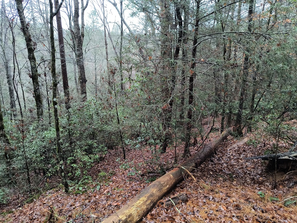 Lot 39 Kells Ridge Drive Ellijay, GA 30540 - Photo 3 of 10 Gallery Image 3