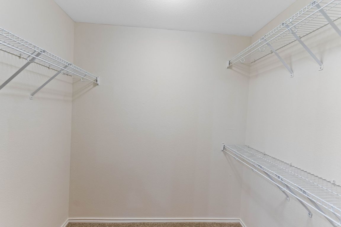 292 Housefinch Loop Leander, TX 78641 - Photo 19 of 29 Spacious closet featuring carpet flooring