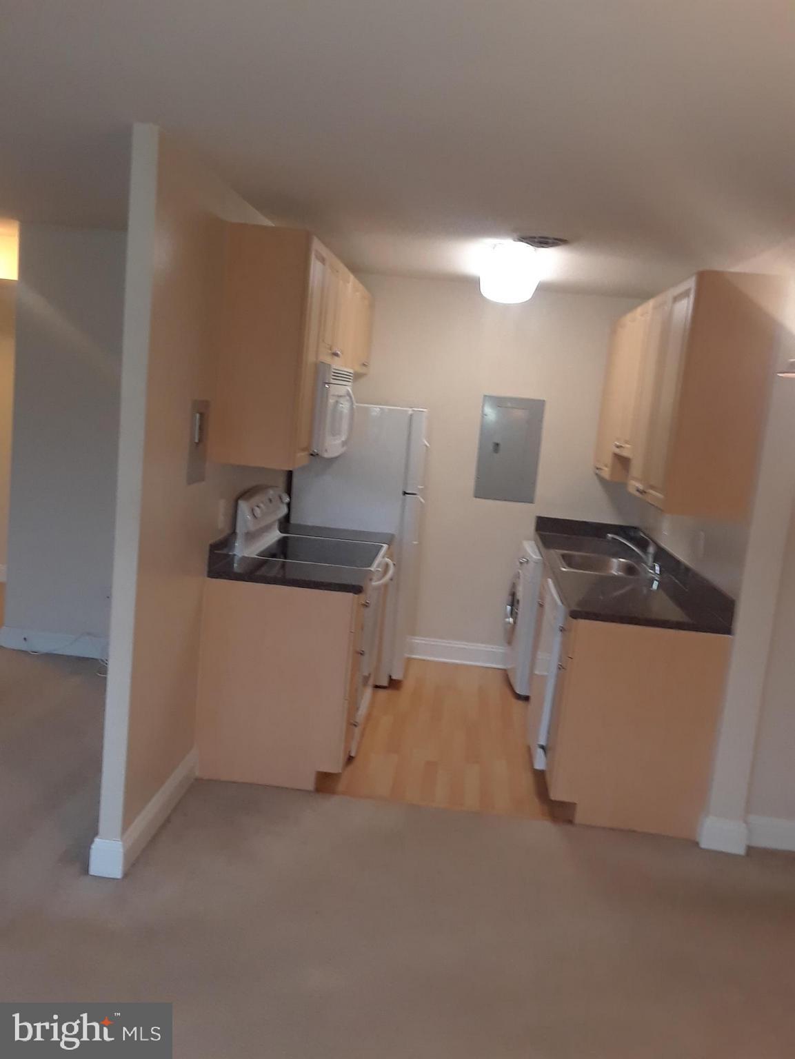 1001 Chillum Road, Unit 308 Hyattsville, MD 20782 - Photo 11 of 14