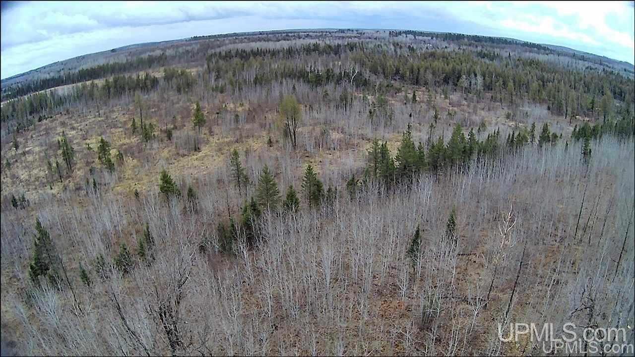 Tbd Murray Road, Unit 2 Perronville, MI 49873 - Photo 1 of 32