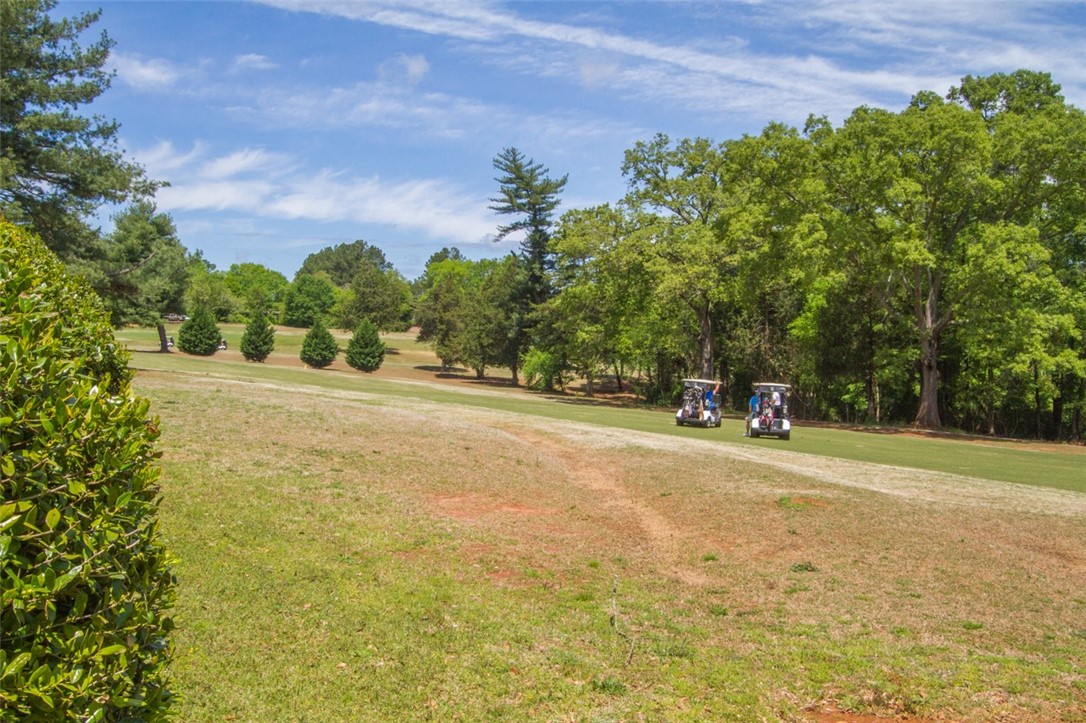 1309 Summers Drive Pendleton, SC 29670 - Photo 27 of 35