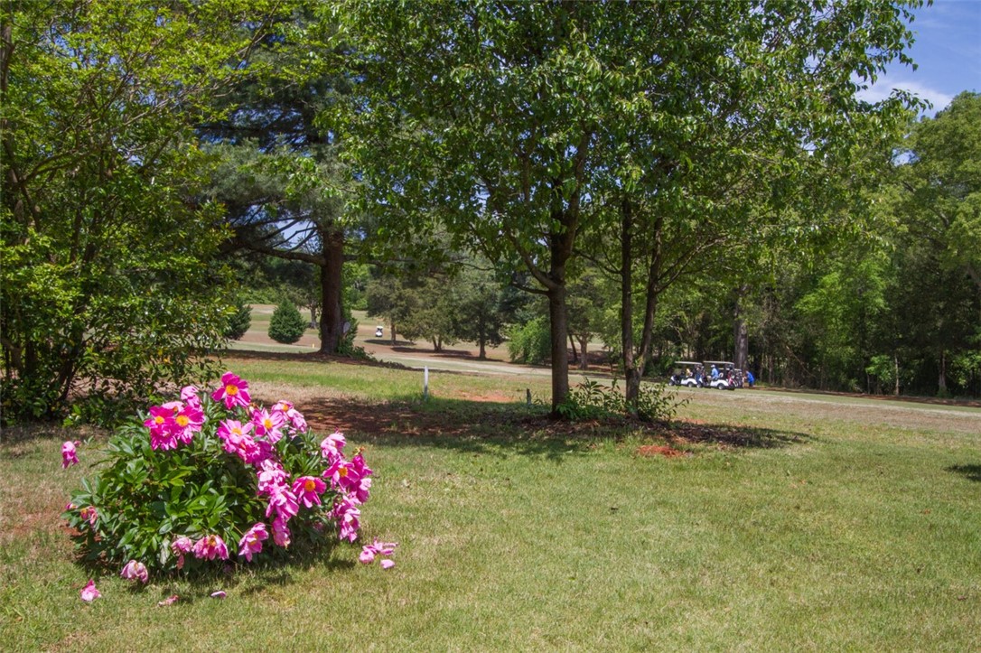 1309 Summers Drive Pendleton, SC 29670 - Photo 30 of 35