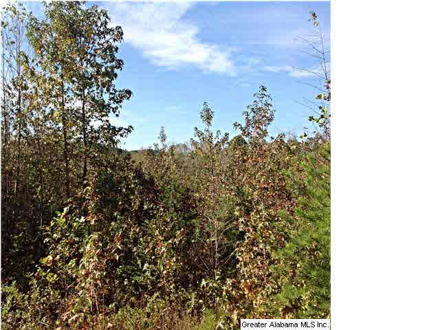 0 County Road 229, Unit 22 AC Fruithurst, AL 36262 - Photo 5 of 12