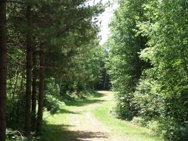 Lot 1 Mud Lake Road Tomahawk, WI 54487 - Photo 4 of 8 Gallery Image 4
