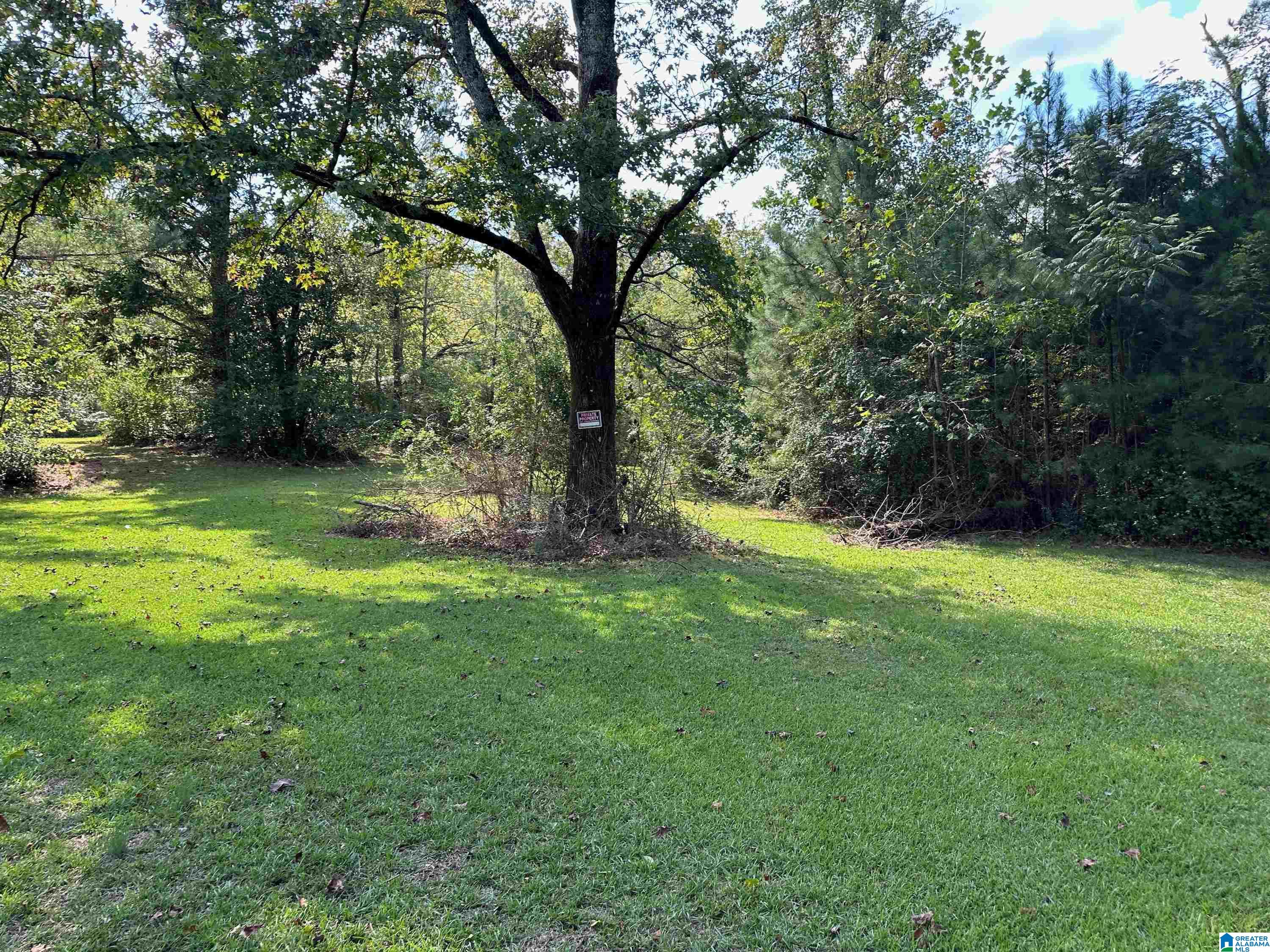 9204 Marsh Mountain Road Pinson, AL 35126 - Photo 36 of 56